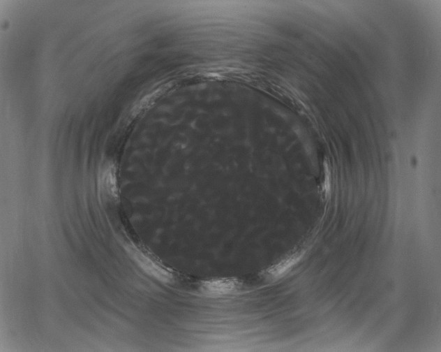 X0000066120238200603101243