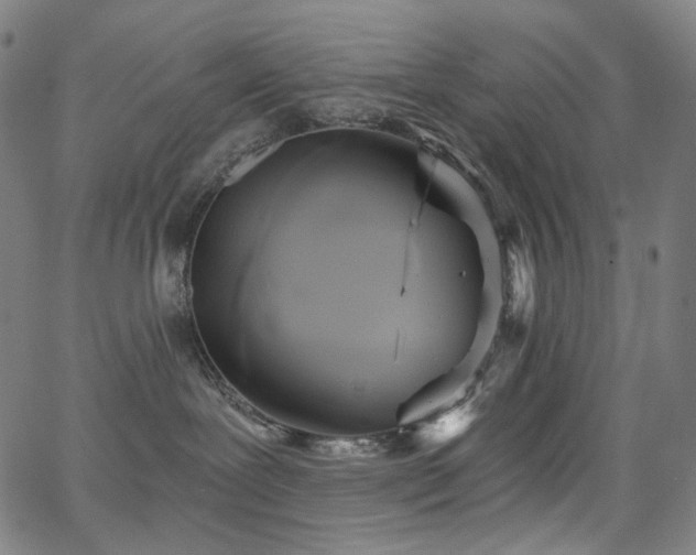 X0000066120239200603101243