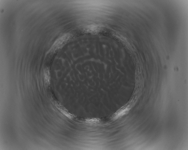 X0000066120240200603101243