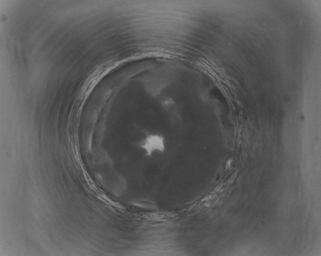 X0000066120241200603101242