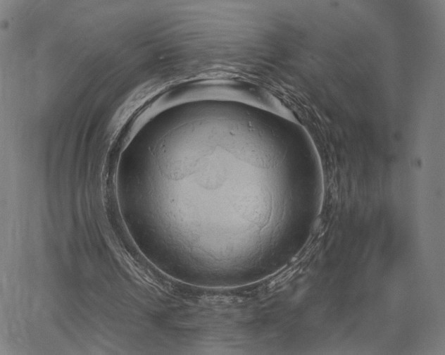 X0000066120242200603101242