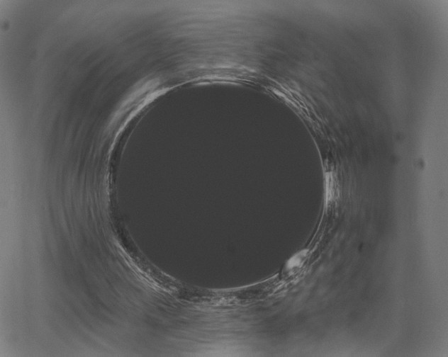 X0000066120243200603101242