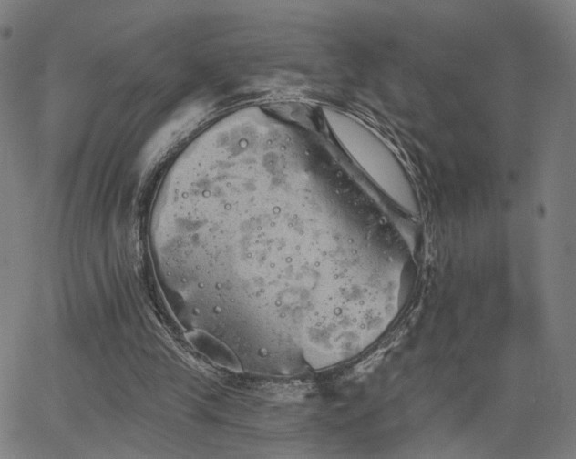 X0000066120245200603101242