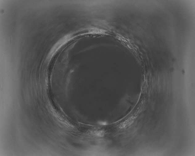 X0000066120247200603101242