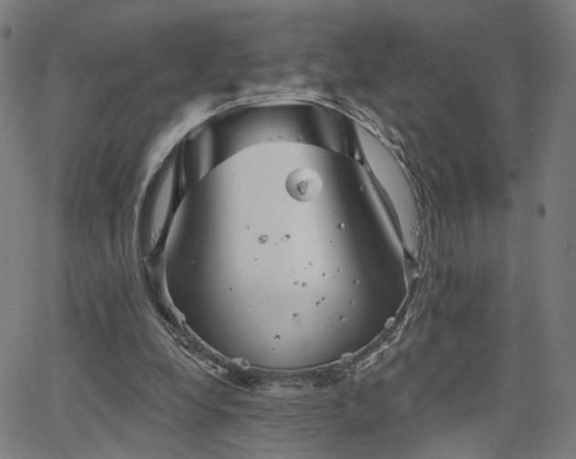 X0000066120248200603101242