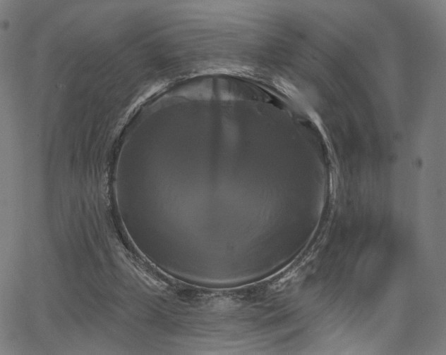 X0000066120249200603101242