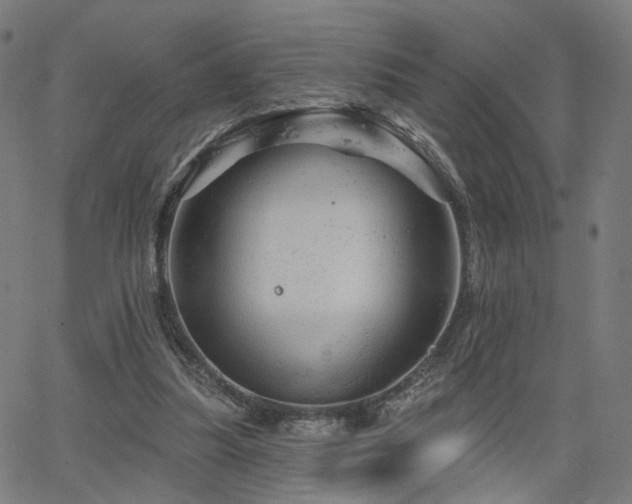 X0000066120251200603101242