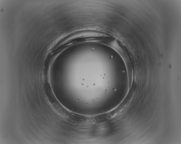 X0000066120252200603101242