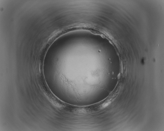 X0000066120253200603101242