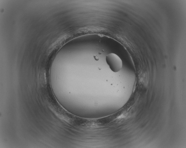 X0000066120254200603101242