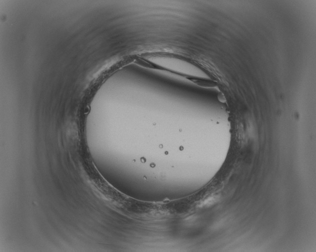 X0000066120256200603101243