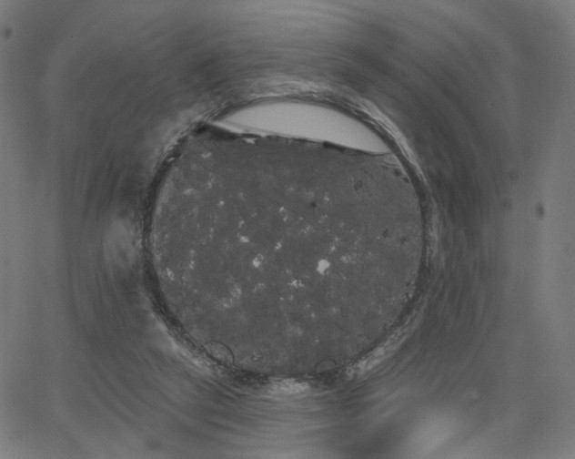 X0000066120257200603101243