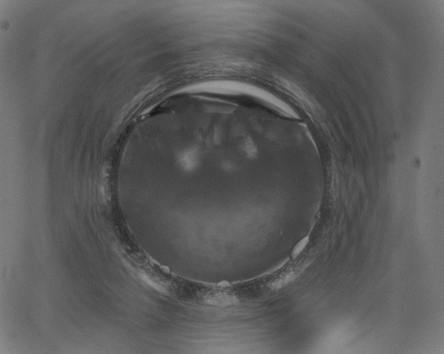 X0000066120258200603101243