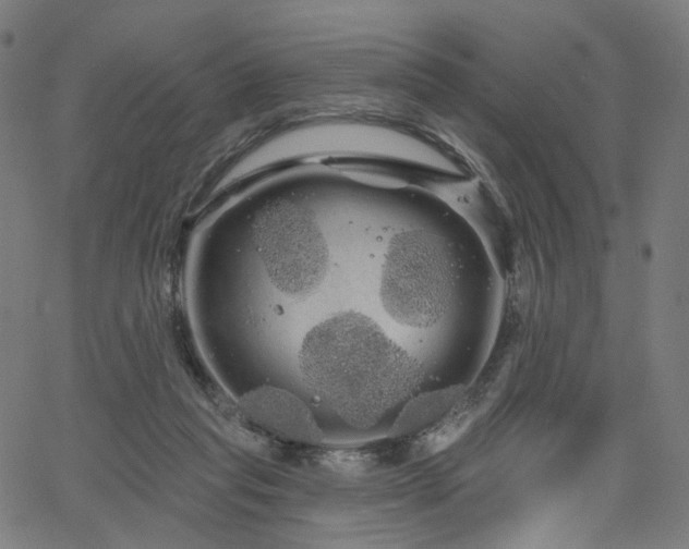 X0000066120261200603101243