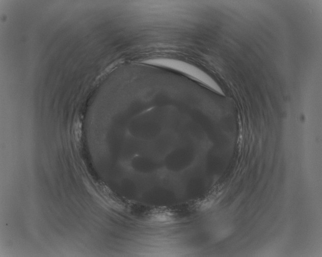 X0000066120263200603101243