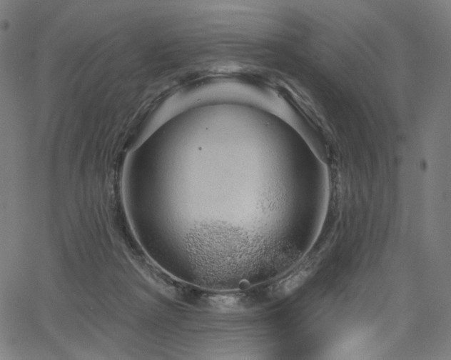 X0000066120265200603101243