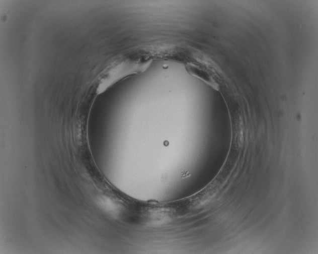 X0000066120268200603101243