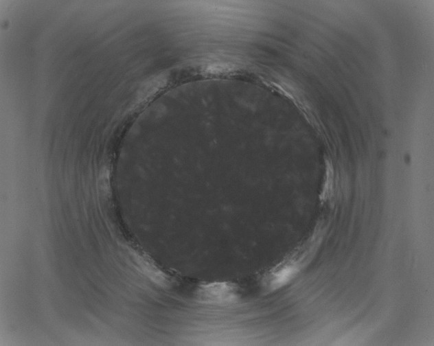 X0000066120269200603101243