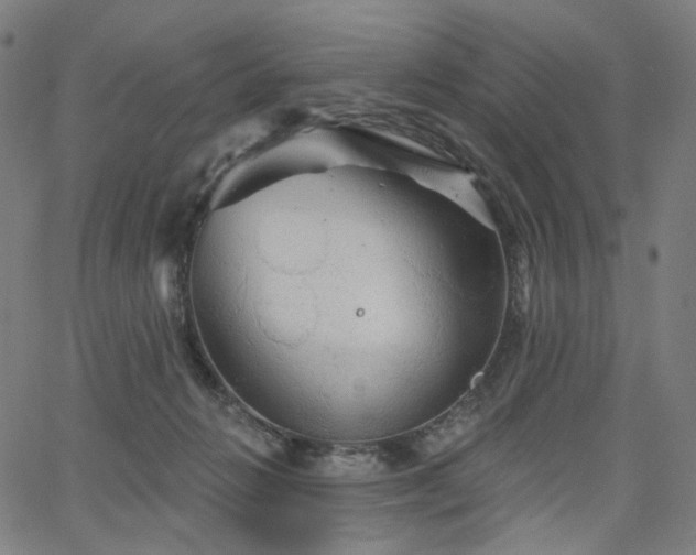 X0000066120270200603101243