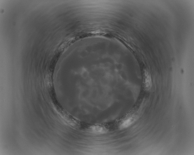 X0000066120272200603101243