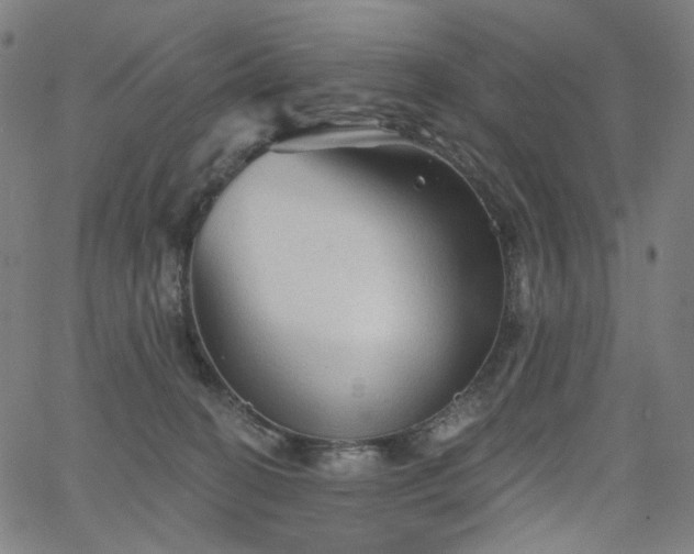 X0000066120274200603101243