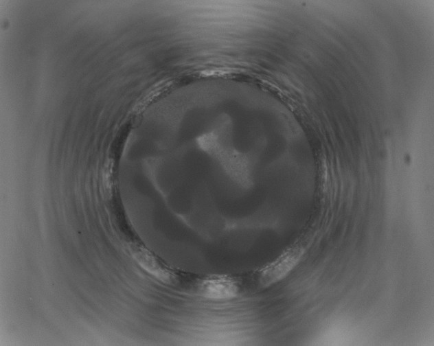 X0000066120275200603101243