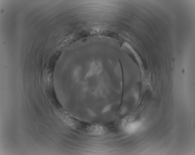 X0000066120276200603101243