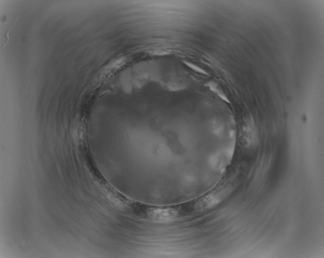 X0000066120277200603101243