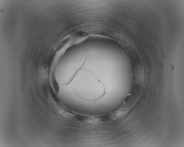 X0000066120278200603101243