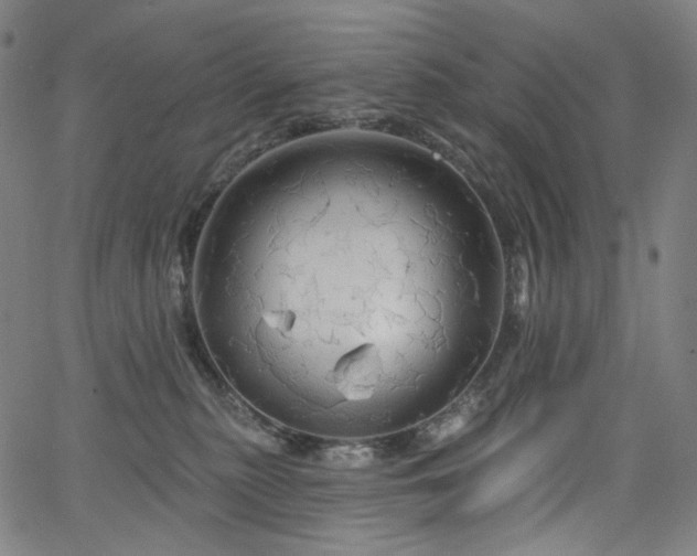 X0000066120279200603101243