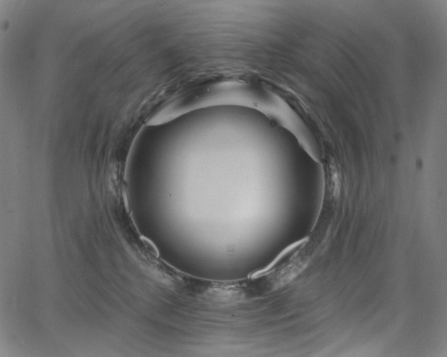 X0000066120280200603101243