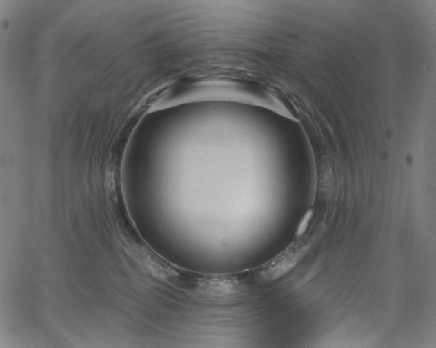 X0000066120282200603101243