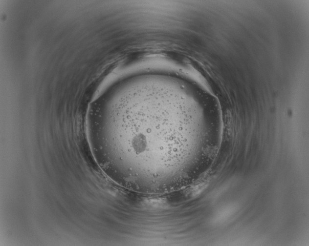 X0000066120283200603101243