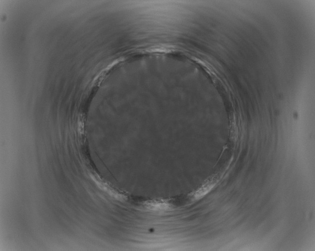 X0000066120284200603101243