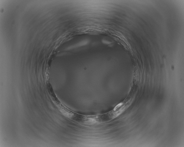 X0000066120285200603101243