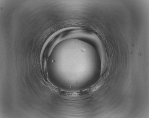 X0000066120288200603101243