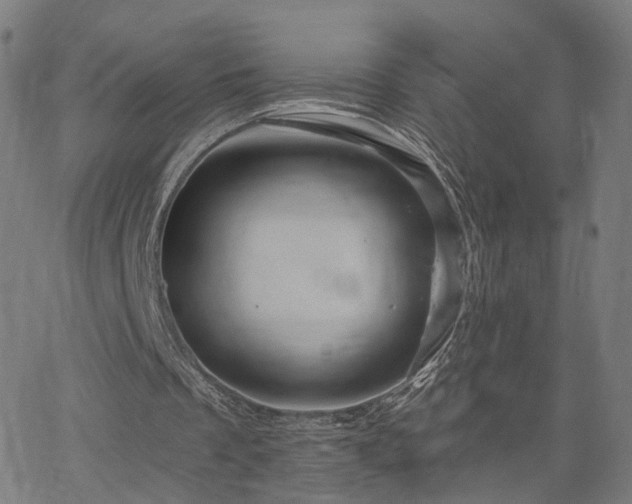 X0000066120289200603101242