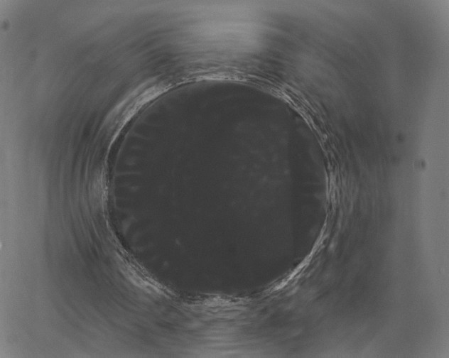 X0000066120290200603101242