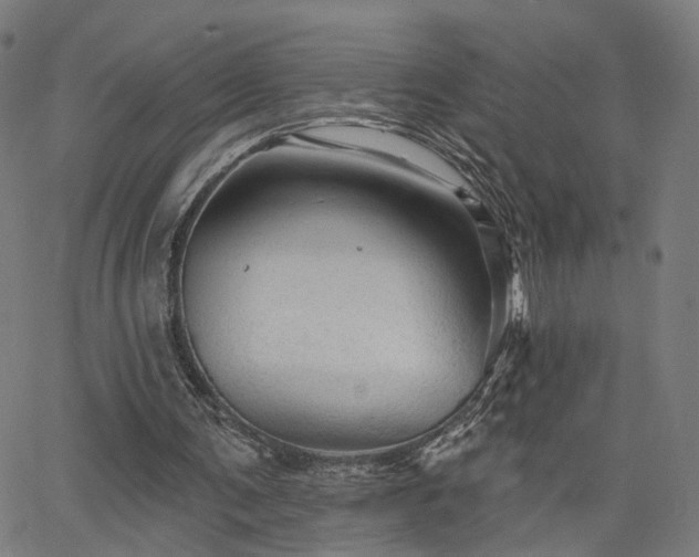 X0000066120291200603101242