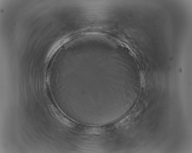 X0000066120293200603101242