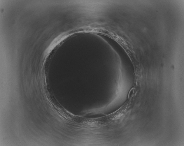 X0000066120295200603101242