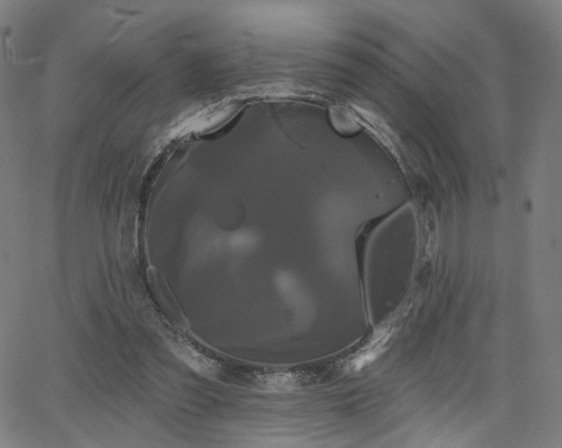 X0000066120301200603101242