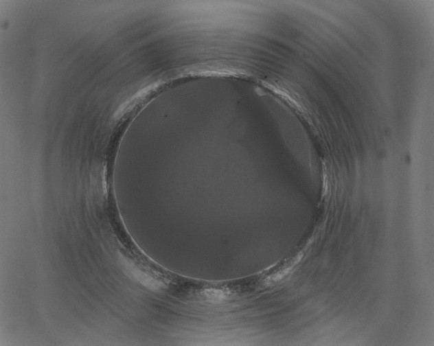 X0000066120302200603101242