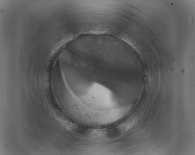 X0000066120303200603101242