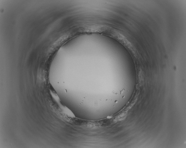 X0000066120305200603101242