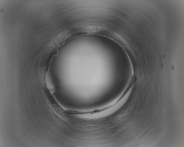 X0000066120307200603101242