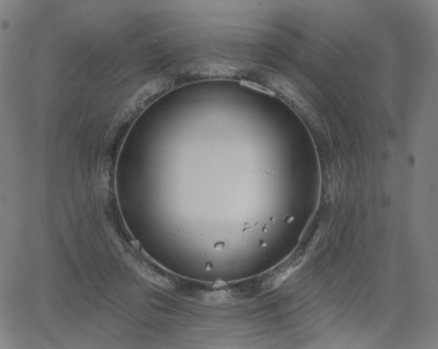 X0000066120309200603101242