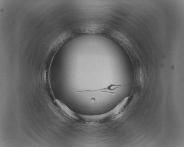 X0000066120310200603101242