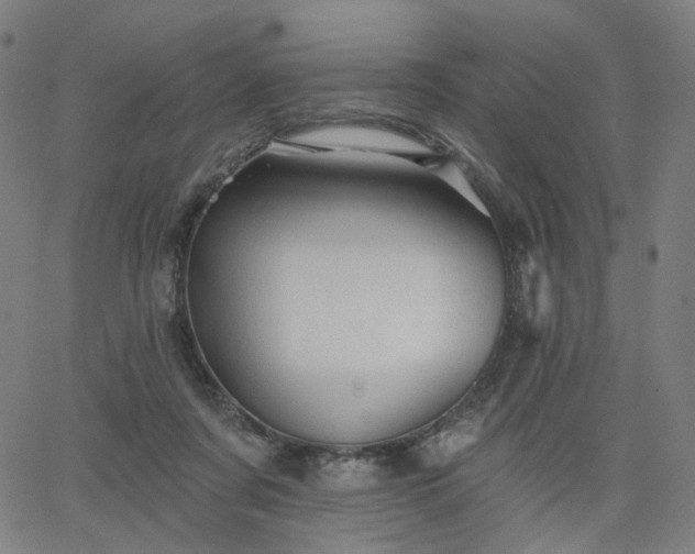 X0000066120311200603101242