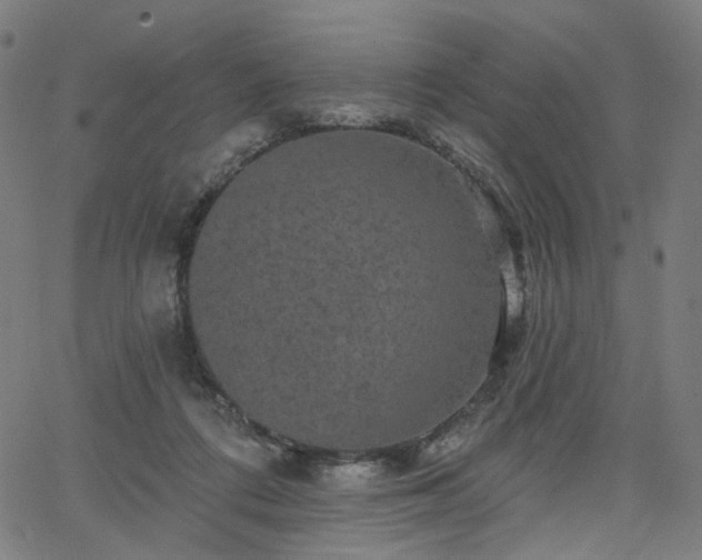 X0000066120312200603101242